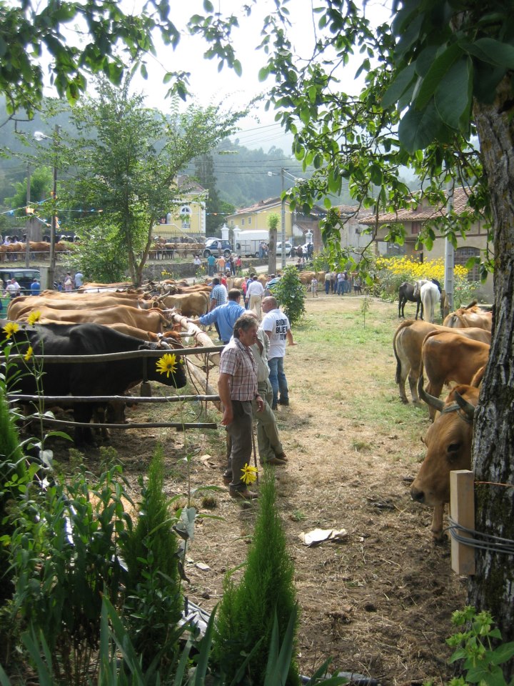 FERIA DE LA PONTE, PUENTEVEGA (PRAVIA, ASTURIAS)
